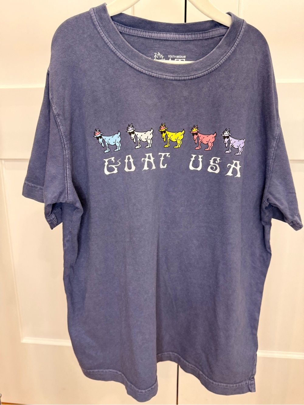 GOAT USA Kids Short Sleeve Tee - Washed Blue with Colorful Goats